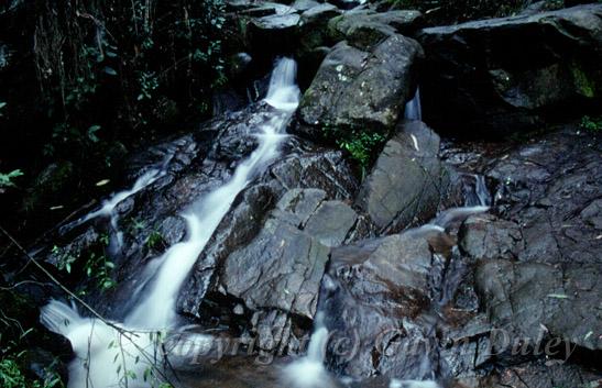 Olinda Falls, Sassafras, Melbourne II.jpg